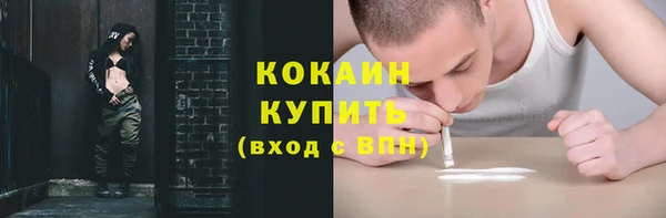 прущие грибы Алексеевка