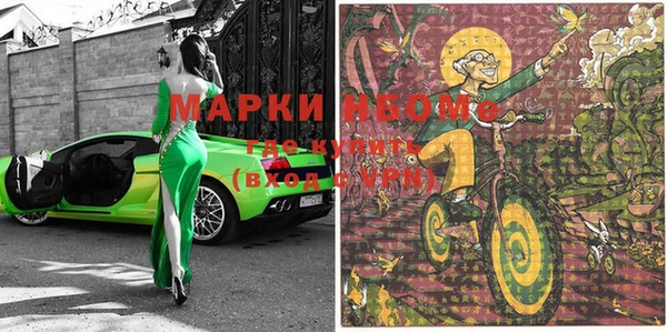 прущие грибы Алексеевка