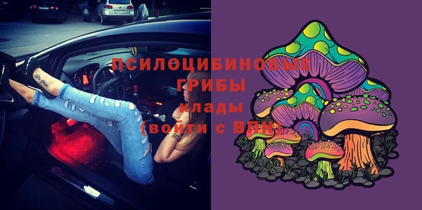 прущие грибы Алексеевка