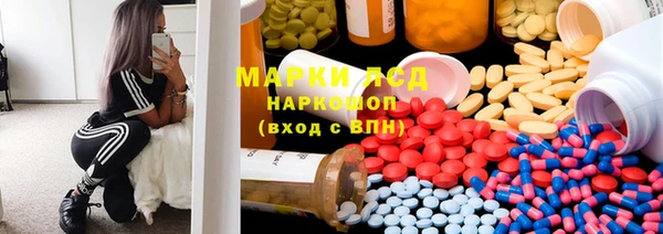 прущие грибы Алексеевка